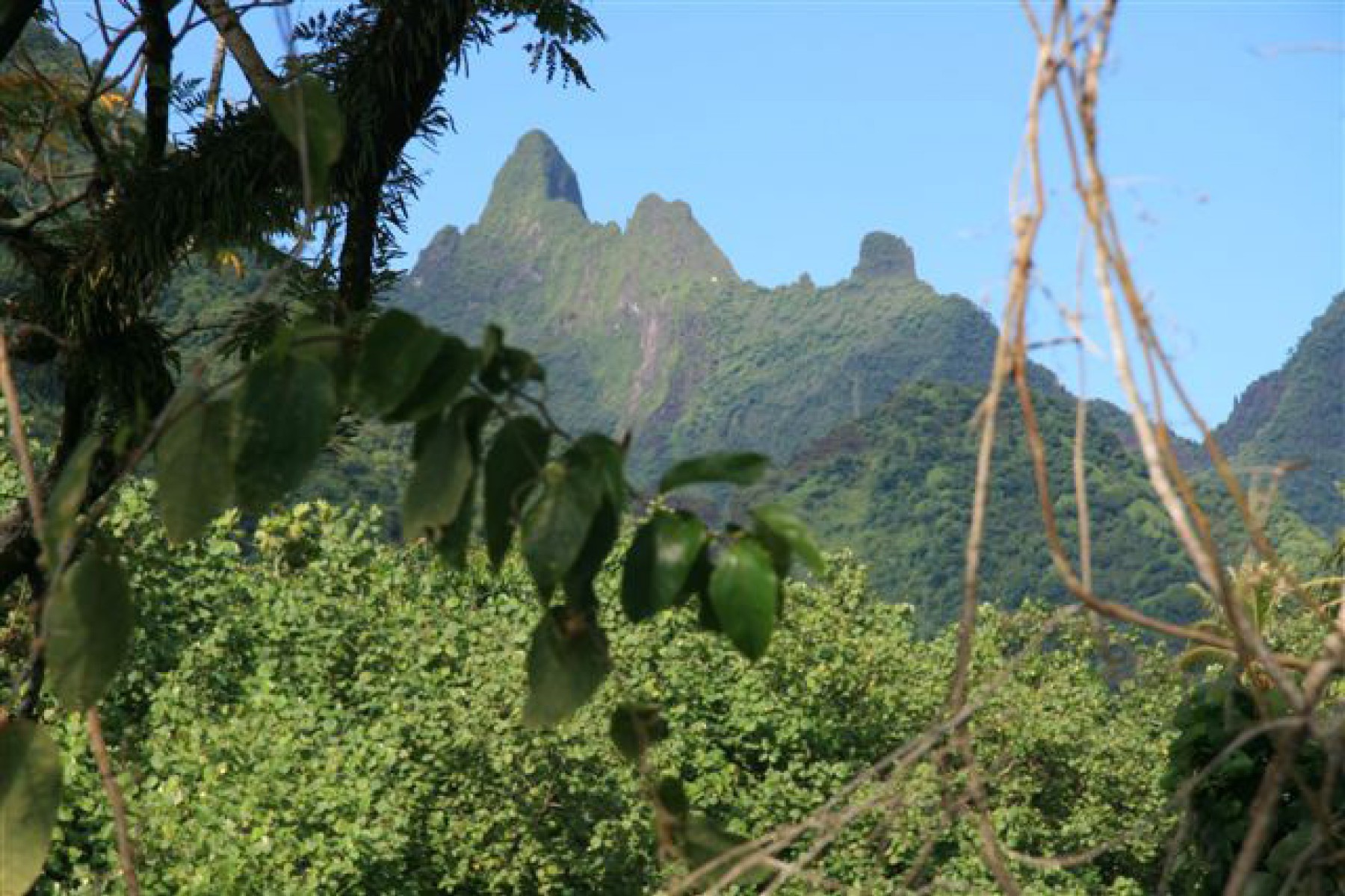 Combiné Tereia